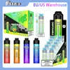 EU 미국 지역 창고 일회용 vape e cig puff 100000 퍼프 큰 클라우드 EU 운송 페 메모 대포 일회용 vapes 유형 C 케이블 충전 0.5ohm 저항