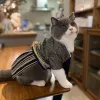 Abbigliamento Stile giapponese Kimono samurai Pet Vestiti per gatti Costumi per gatti Tute per cani da compagnia abbigliamento per cani di piccola taglia