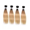 Brasiliansk peruansk indisk 100% mänskliga hårförlängningar dubbla inslag 1b/27 ombre färg silkeslen rak kroppsvåg 10-32 tum 4 buntar