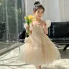 Kız Elbise Yürümeye Başlayan Kız Kızlar Yaz Elbise Çocuklar İçin Prenses Doğum Günü Partisi Elbise Mesh Tutu Düğün Çocuklar