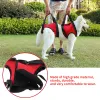 Harnesses Front Rear Legs Dog Lift Assist Support Harness Feet Tail Holder Walking Aid Vest For Canine Assist Elderly Sick Injured Dog Pet