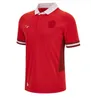 2023/24 New Wales Rugby Jersey National Team Jerseys Cymru Sever Versão World Cup Polo Camiseta 22 23 Top Welsh Rugby Training Jesery Tamanho S-5XL