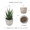 Decorative Flowers Artificial Succulent Potted Office Desktop Home Balcony Decoration Simulation Environmental Green Plant Florist Window