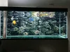 Decorations Mr.Tank 3D Effect Aquarium Background Poster HD Rock Stone PVC Aquarium Landscape Picture Backdrop Decorations