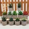 Decorative Flowers Artificial Succulent Potted Office Desktop Home Balcony Decoration Simulation Environmental Green Plant Florist Window