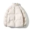 Automne et hiver nouveau manteau de coton masculin édition coréenne lâche grand cou debout