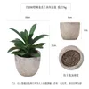 Decorative Flowers Artificial Succulent Potted Office Desktop Home Balcony Decoration Simulation Environmental Green Plant Florist Window