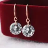 Stud Hot Selling Lady Elegant Fashion Noble Zircon Crystal Dangle Drop Earrings For Women Jewelry Dainty Boucle Mujer Brincos YQ240129