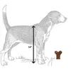 Hondenspeelgoed kauwt ontwerpen Runway Pup Collection Unieke Piepende P Pret-A-Porter Bones 5 kleuren Groothandel H13 Drop Delivery Home Garden Otflj