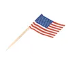 500 American Flag Toothpicks Party Cupcake Decoration Sand Mini Food Picks 240127