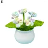 Decorative Flowers Long-lasting Artificial Fake Potted Plant Handmade Gradient Forget Me Not Mini For Home Car Decoration Women