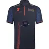 Cycle Clothing 2024 F1 Racing Polo рубашка Formula-One Костюма для костюма лацка