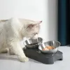 供給ステンレススチールチルト猫ボウルスタンドシングル/ダブル調整可能な傾斜滑り食物水産飼いペットフィーダーEig88