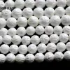 Alliage en gros (2 brins/lot) pierre tridacna naturelle 10mm blanc palourde géante sculpté perles de coquille de fleur pour la fabrication de bijoux