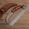 Karambit Knife VG10 Damascus Steel Blade Full Tang Rosewood Handle Fixed Blades Claw Knives Läder Mantel