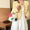 Cute Puff Color Printed Girl Lamb Hair Autumn/Winter Cute Colored Plush Bag Handheld Handmade Bag