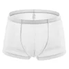 Underpants 2024 homens ver através de boxer shorts respiráveis ultra fino sheer cueca calcinha de malha boxers baixa ascensão bugle bolsa