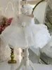 rosa bianco lucido Abito da ragazza di fiori monospalla manica lunga con paillettes Grande bling Bowtie Ruffles Tulle Puff Abiti da festa di compleanno Abiti da spettacolo Abito da spettacolo per ragazza