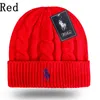 Gute Qualität Neue Designer Polo Beanie Unisex Herbst Winter Beanies Strickmütze für Männer und Frauen Hüte Klassische Sport Schädel Caps Damen Casual z14