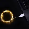 Strings 1M 2M 3M USB LED String Lights DC 5V Silver Wire Garland Light Waterproof Fairy For Christmas Wedding Party Decoration