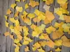 Fausses fleurs décoratives, 108 pièces, feuilles de Ginkgo simulées, atmosphère d'automne, décoration de la maison, plante herbier, fournitures El pour mariage