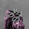 Dingle örhängen skandinavisk viking djur vintage kreativ skiva orm rostfritt stål droppe mäns smycken gåvor grossist