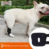 Joelheiras de vestuário de vestuário para cães suporte de suporte para jarrento de perna abrolar articulação de lesões respiráveis protetor de artrite protetor