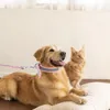 Dog Collars Leash Pet Collar Night Pulling Rope Kitは、サプライを運びます反射的なウォーキング