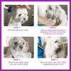 Fournitures shampooing pour animaux de compagnie shampooing adoucissant pour poils d'animaux Gel douche pour animaux de compagnie pour chiot chien chat savon de douche shampooing pour chien lavage du corps Gel de bain de nettoyage pour animaux de compagnie