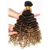 Ombre 1B/4/27 brasiliansk djupvåg Human Remy Virgin Hair Weaves 100g/bundle dubbel wefts 3bunds/mycket fulla och mjuka