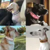 Halsbänder Maßgeschneidertes großes Hundehalsband, breites Leder, personalisierte Halsbänder, mittelgroße und große Hundehaustierhalsbänder, individuell für Hunde, gedruckter Namensausweis