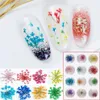 100pcs 15-20mm Pressed Dried Ammi Majus Flower Dry Plants For Nail art Epoxy Resin Pendant Necklace Jewelry Making Craft DIY Acces256z