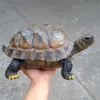 Tortuga de simulación de resina, adornos de animales, jardín, piscina, decoración de jardín, muebles para el hogar A313 T200709284u