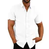 Summer Cotton Linen Mens Casual Short Sleeved Shirt Solid Color Lapel Formell strandskjorta Herrkläder 240130