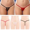 Other Panties Mini Women G-String Thong Solid Sexy Briefs Lingerie Underwear T-back Ultrathin Sheer Erotic Low Waist YQ240130