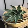 40 cm Grandi Piante Succulente Artificiali Fiore Sisal Tropicale Falso Agave Desktop Bonsai Foglie Verdi di Plastica Per La Decorazione Domestica 240127