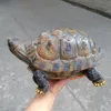 Tortuga de simulación de resina, adornos de animales, jardín, piscina, decoración de jardín, muebles para el hogar A313 T200709284u