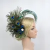 Saç klipsleri büyüleyici 1920'ler Peacock Tüy Head Band Giyim saç tokası kafa trim yan klipli Performans Partisi Mücevher Aksesuarları Gelin