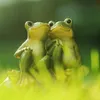 Lovers frog Sculpture Ornaments Outdoor Animal Decoration Garden Resin Statue Garden Frog Flower Pot Decoration Crafts 240122