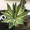 40 cm Grandi Piante Succulente Artificiali Fiore Sisal Tropicale Falso Agave Desktop Bonsai Foglie Verdi di Plastica Per La Decorazione Domestica 240127