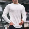 Maglioni da uomo Autunno Inverno Uomo Casual Slim Fit Manica lunga Girocollo Top in maglia per uomo Maglione lavorato a maglia basic tinta unita alla moda