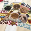 T-shirts pour hommes Harajuku Tshirt drôle mignon chat famille graphique imprimé patchwork t-shirt streetwear hip hop mode décontracté lâche coton haut vêtements Q240130