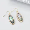 Dangle Earrings 1Pair Natural Abalone Shell Zircon For Women Fashion Jewelry Crochet Drop Pendant Statement Girl Gifts