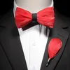 Ricnais Natural Mens Brid Feather Bow Tie Изысканный галстук-бабочка ручной работы Брошь Pin Подарочная коробка Набор для мужчин Аксессуары для свадебной вечеринки 240122