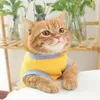 Costumes de chat, vêtements imprimés d'ours, mignons, respirants, en Polyester, sans manches, doux, gilets pour chaton, chiens