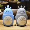 Novità Cute Cartoon Totoro Thermos portatile Bottiglia creativa Anime Termos Tazza e tazza Boccette sottovuoto in vetro Bottiglia Drop 201279R