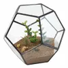 Czarny szklany Pentagon geometryczny terrarium pojemnik na okno Wystrój Dekor flower doniczka balkon sadza