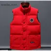 Canda Goose Jacket Goose Designer Down Chaleco Chaquetas de bolsillo Parkas Cremallera Insignias Hombres Downs Abrigo casual Canadian Goose Tops Outwear Múltiples colores 4596