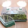 Planters & Pots 12 Hole Plant Seed Growth Nursery Box Cultivation Garden Tray Plastic Mini Greenhouse Flower Planting222V