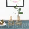 Vases Golden Hydroponics Vase Decoration Living Room Table Desktop Dried Flowers Flower Arrangement Green Hydroponic